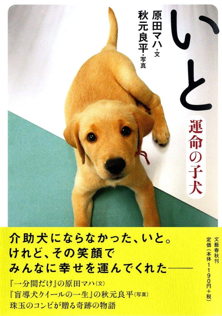 「いと 運命の子犬（原田マハ）」のあらすじ・ネタバレ・長文感想