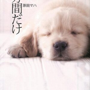 「一分間だけ（原田マハ）」のあらすじ・ネタバレ・長文感想