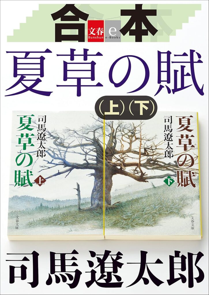 「夏草の賦（司馬遼太郎）」のあらすじ・ネタバレ・長文感想