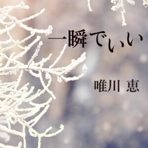 「一瞬でいい（唯川恵）」のあらすじ・ネタバレ・長文感想