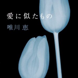 「愛に似たもの（唯川恵）」のあらすじ・ネタバレ・長文感想