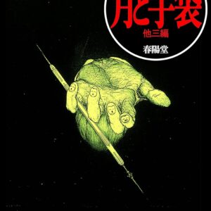 「月と手袋（江戸川乱歩）」のあらすじ・ネタバレ・長文感想