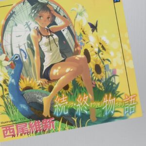 「続・終物語（西尾維新）」のあらすじ・ネタバレ・長文感想
