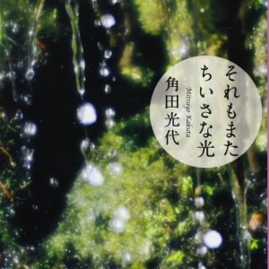 「それもまたちいさな光（角田光代）」のあらすじ・ネタバレ・長文感想