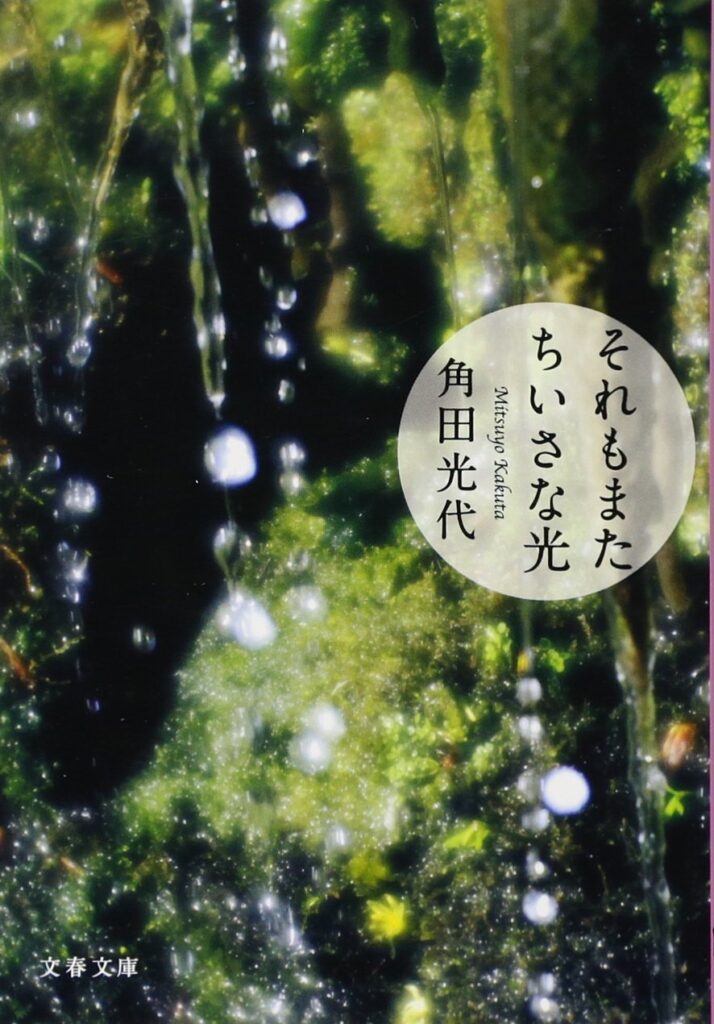 「それもまたちいさな光（角田光代）」のあらすじ・ネタバレ・長文感想