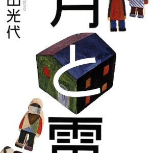 「月と雷（角田光代）」のあらすじ・ネタバレ・長文感想