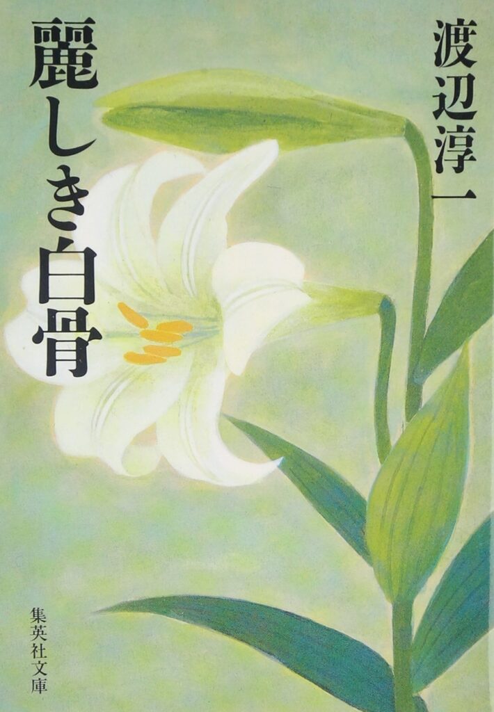 「泪壺(渡辺淳一)」のあらすじ・ネタバレ・長文感想 | 【光速宇宙人】小説の長文感想(あらすじ、ネタバレ有り)