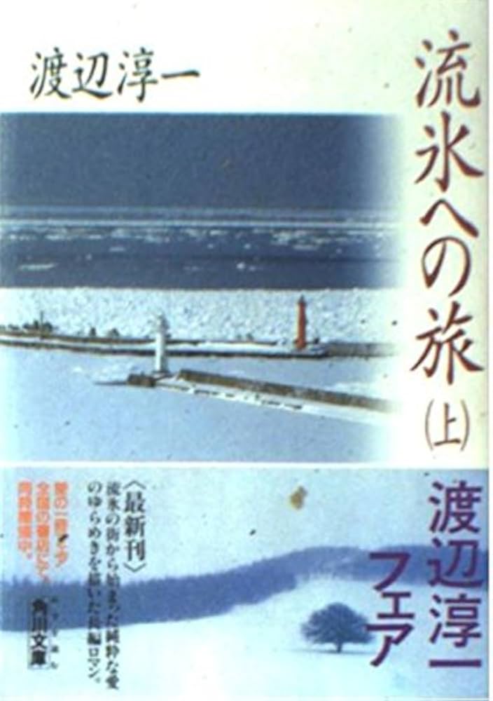 流氷の原 渡辺淳一