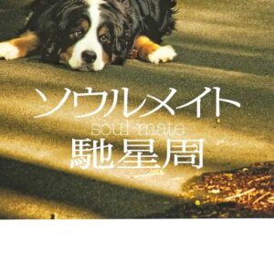 ソウルメイト