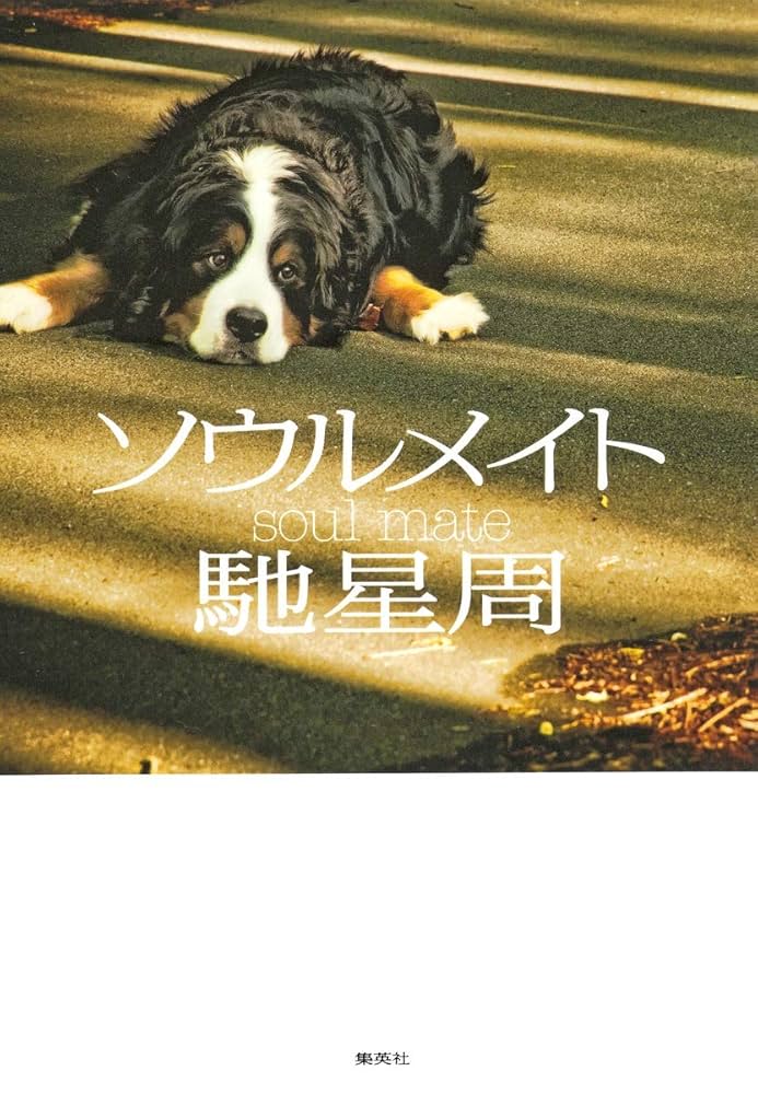 「ソウルメイト（馳星周）」のあらすじ・ネタバレ・長文感想