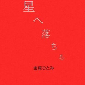 星へ落ちる 金原ひとみ