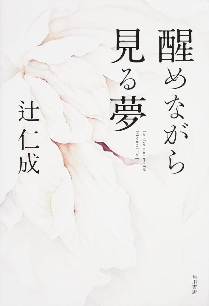 「醒めながら見る夢（辻仁成）」のあらすじ・ネタバレ・長文感想