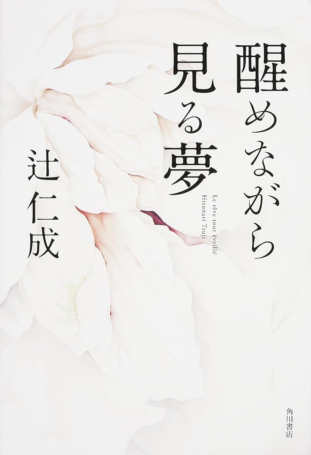 醒めながら見る夢 辻仁成