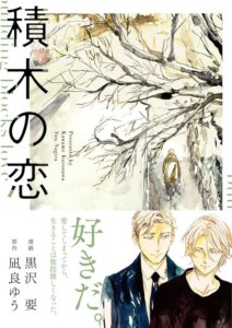 凪良ゆう 積木の恋