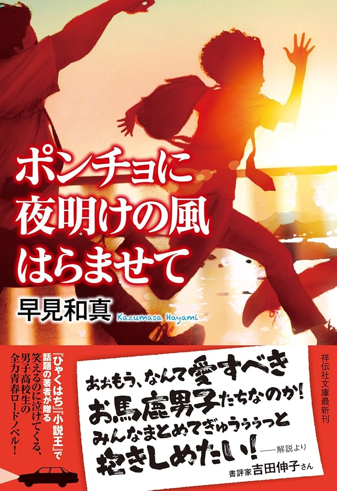 「ポンチョに夜明けの風はらませて（早見和真）」のあらすじ・ネタバレ・長文感想