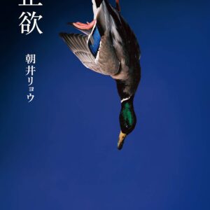朝井リョウ 正欲