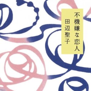 田辺聖子 不機嫌な恋人