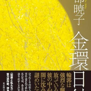 阿部暁子 金環日蝕