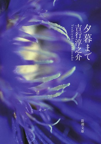 「夕暮まで(吉行淳之介)」のあらすじ(ネタバレあり)