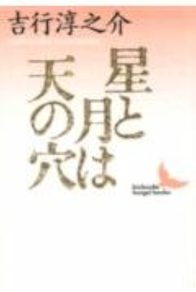 「星と月は天の穴(吉行淳之介)」の超あらすじ(ネタバレあり)
