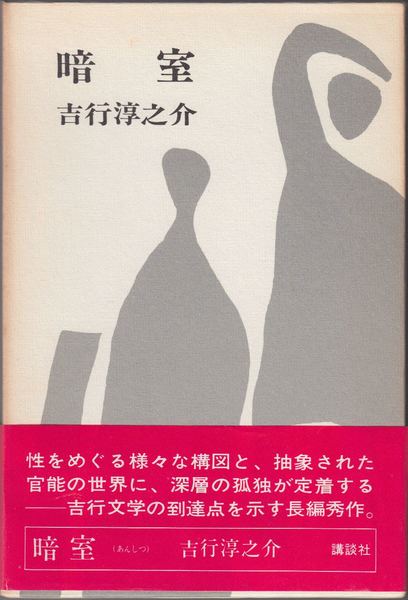 「暗室（吉行淳之介）」の超あらすじ（ネタバレあり）